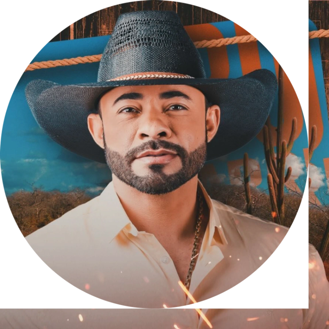 Arreio de Ouro